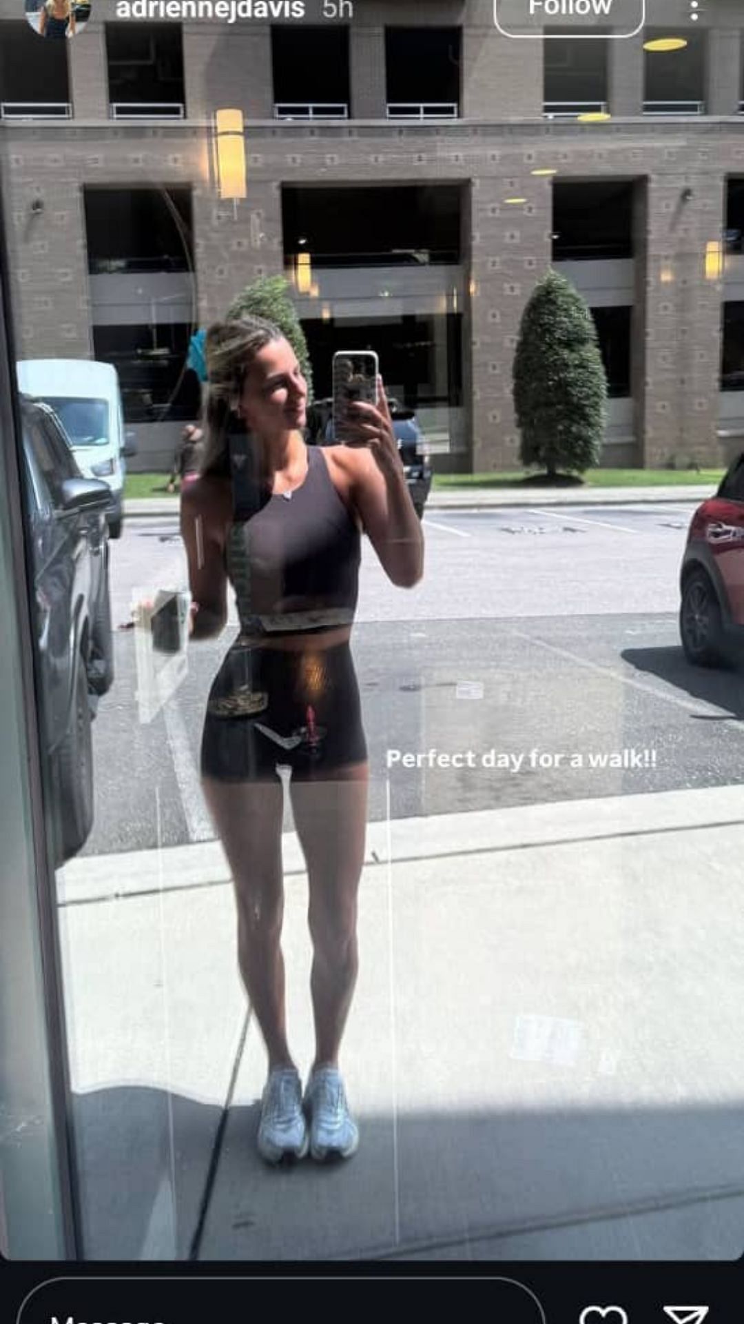 Adrienne Davis' Instagram Story